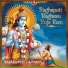 Anand, VYBROS
