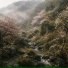 You Ye Ren