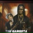 Tim Gangsta