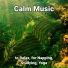 Calm Music, Relaxing Spa Music, Yoga