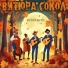 Вис Виталис, Витюра Сокол