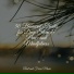 Relaxamento, Meditation, Musique Zen Garden