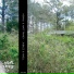 Heinali, Matt Finney