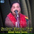 Ahmad Nawaz Cheena
