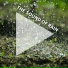 Regengeräusche, Rain Sounds, Nature Sounds