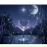 MikAlex