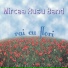 Mircea Rusu Band