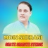 Moin Sherani