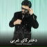 Taher Shubab