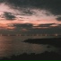 VIC 维克