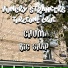 BIG SHAP