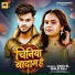 Golu Dabang, Shilpi Raj