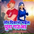 Dharmendra Dhamal Yadav