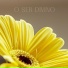 Sr. Reis