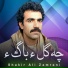 Shakir Ali Zamrani