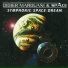 Didier Marouani & Space