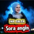 Ina Salsa