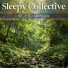 Sleepy Collective