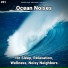 Shoreline Sounds, Nature Sounds, Ocean Sounds