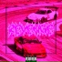 WXRTNAX feat. ANADALY