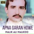 Malik Ali Malkoo