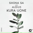Shona SA, Audius