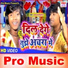 Pawan Lolpuriya