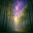 Velune, Buddhist Meditation Music Set