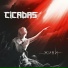 Cicadas