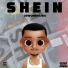 Dihsorientado