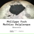 Philippe Foch, Mathias Delplanque