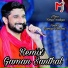 Gamana Santhal