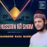 Mahmood Raza Qadri