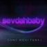 SevdahBABY