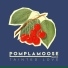 Pomplamoose