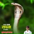Mukesh Gurjar Gothada