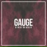 Mike Gauge