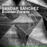 Sandar Sanchez