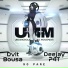 Dvit Bousa, Deejay P4T, UMM