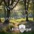 Folkvängəl