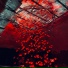 GXSTPO