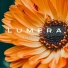 LUMERA, Спокойная фоновая музыка