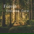 Endless Cure