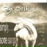 BRONKO