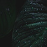 Forest Soundscapes, Spa, Rain Sounds Factory STHLM