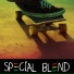 Special Blend feat. Paige Klemm