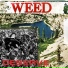 Weed