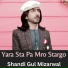Shandi Gul Mizarwal