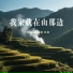 风哥