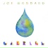 Joe Goddard feat. Valentina